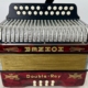 Hohner Double Ray